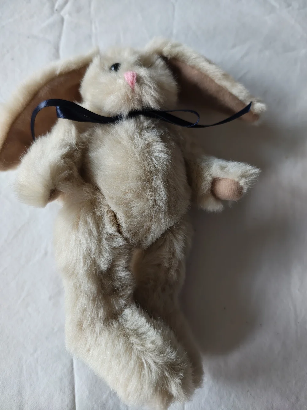 Source Unknown Cream Plush Bunny with Black Ribbon